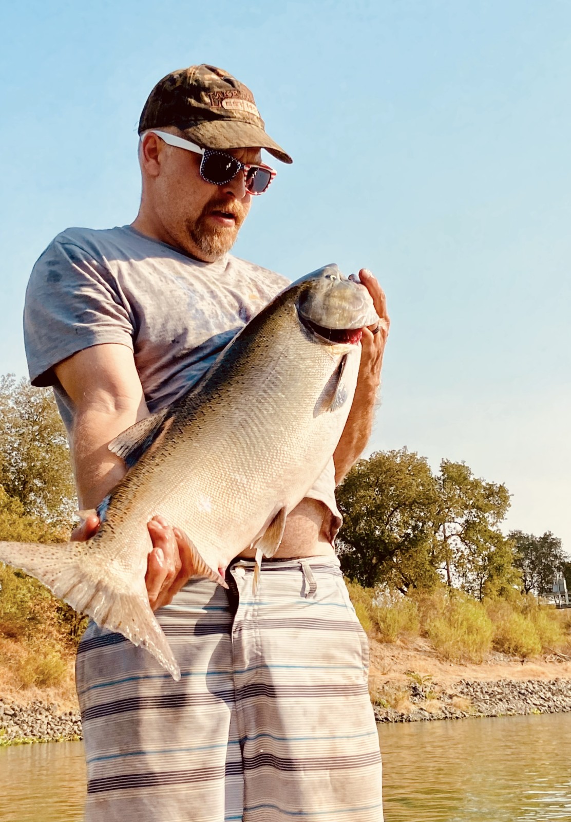 King salmon caught on the Sacramento River